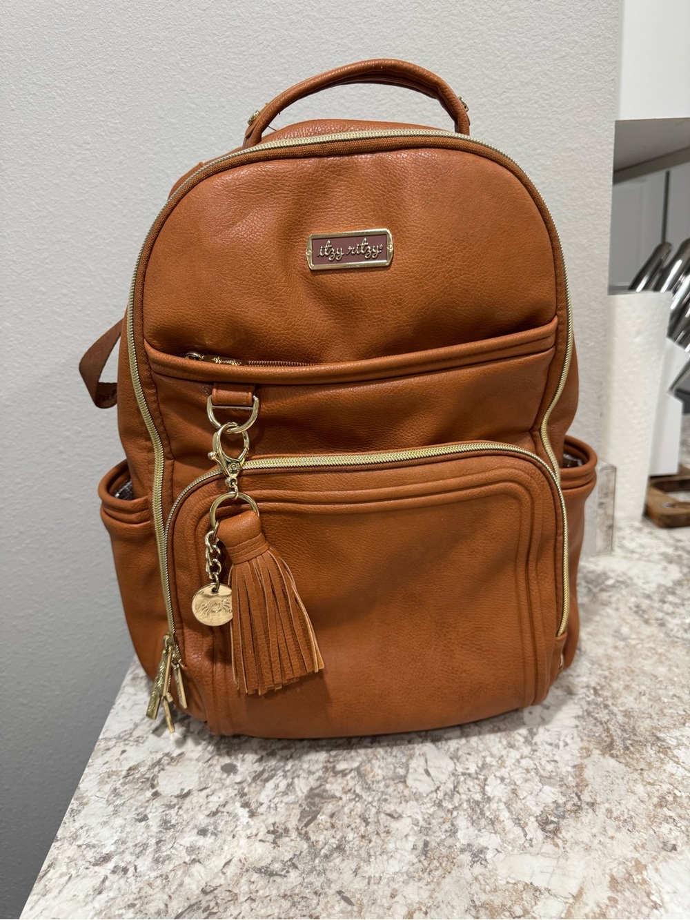 Itzy Ritzy Boss Plus Diaper Bag